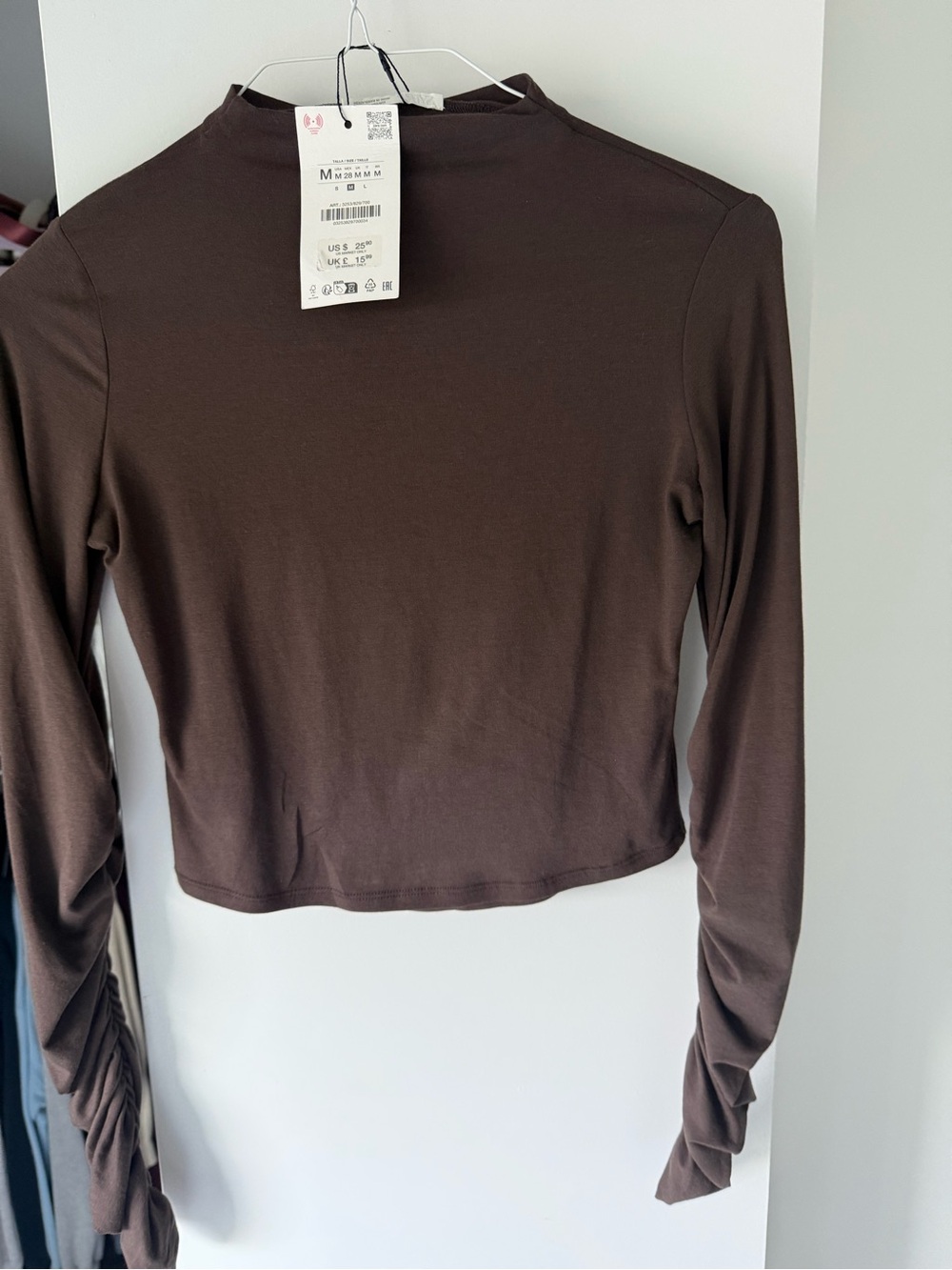 Zara Brown Long-Sleeve Cropped Top